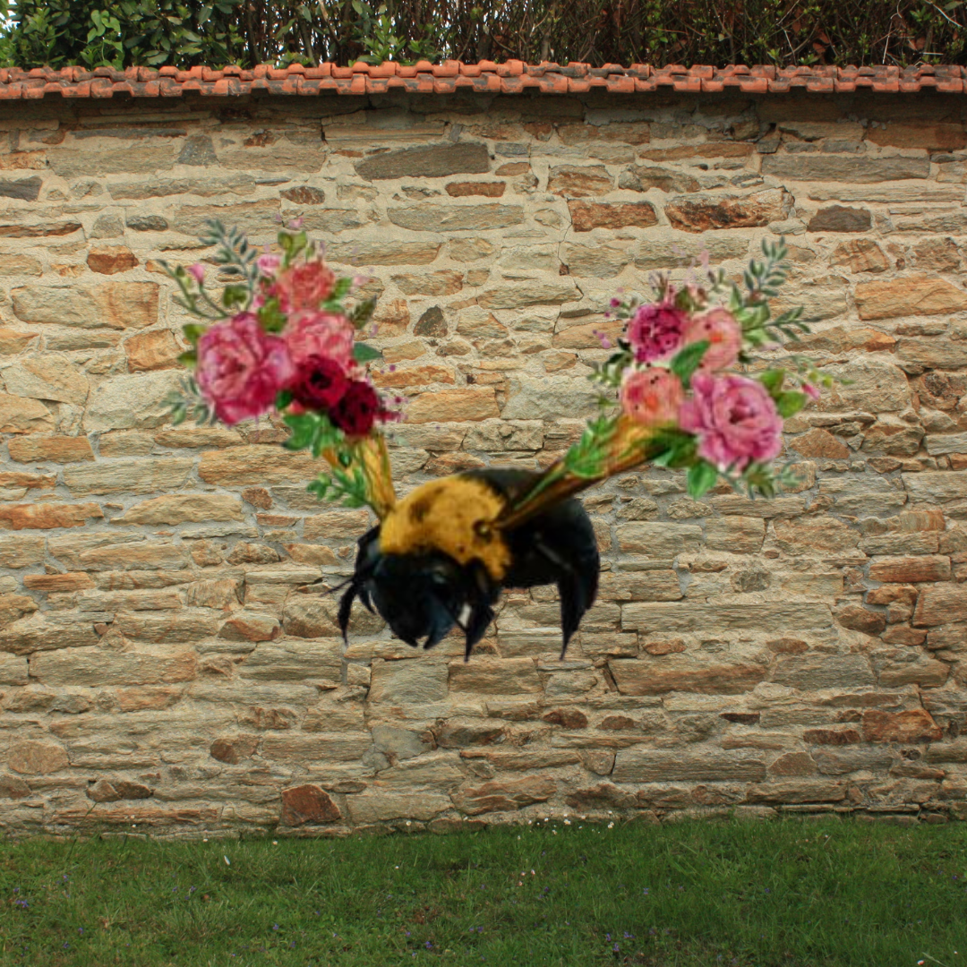 NEW - Bee Bloom Standing Bee Outdoor Prints image 0